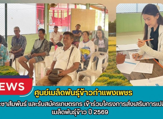 กำแพงเพชร-ศูนย์เมล็ดพันธุ์ข้าวกำแพงเพชร ประชาสัมพันธ์ และรับสมัครเกษตรกรเข้าร่วมโครงการส่งเสริมการเปลี่ยนเมล็ดพันธุ์ข้าว ปี 2569
