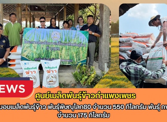 กำแพงเพชร-ศูนย์เมล็ดพันธุ์ข้าวกำแพงเพชร ส่งมอบเมล็ดพันธุ์ข้าว พันธุ์พิษณุโลก80 จำนวน 550 กิโลกรัม พันธุ์ กข 79 จำนวน 175 กิโลกรัม