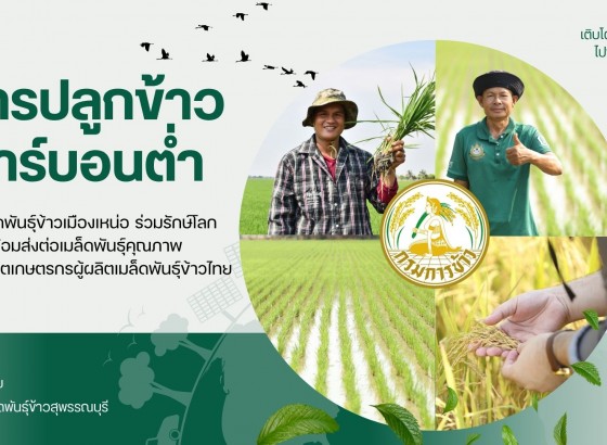 ศูนย์เมล็ดพันธุ์ข้าวสุพรรณบุรี จัดการส่งเสริมการจัดทำแปลงผลิตเมล็ดพันธุ์ข้าวด้วยวิธีการปลูกข้าวคาร์บอนต่ำ เพื่อลดผลกระทบ ต่อสิ่งแวดล้อม