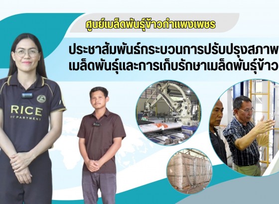 กำแพงเพชร-ศูนย์เมล็ดพันธุ์ข้าวกำแพงเพชร ประชาสัมพันธ์กระบวนการปรับปรุงสภาพเมล็ดพันธุ์ข้าว และการเก็บรักษาเมล็ดพันธุ์ข้าว 