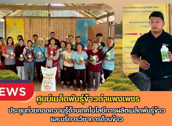 กำแพงเพชร-ศูนย์เมล็ดพันธุ์ข้าวกำแพงเพชร ประชุมถ่ายทอดความรู้ด้านเทคโนโลยีการผลิตเมล็ดพันธุ์ข้าว และบริการวิชาการด้านข้าว