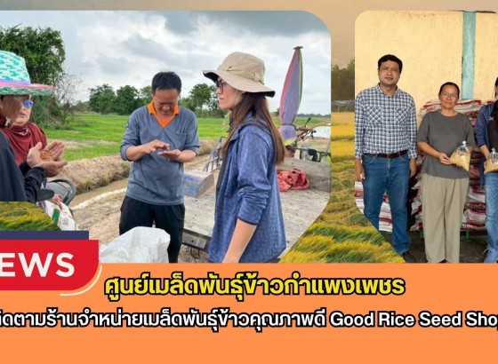 กำแพงเพชร-ศูนย์เมล็ดพันธุ์ข้าวกำแพงเพชร ติดตามร้านจำหน่ายเมล็ดพันธุ์ข้าวคุณภาพดี Good Rice Seed Shop