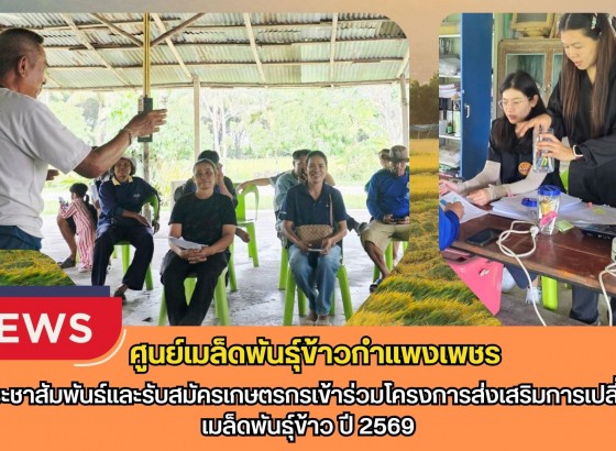 กำแพงเพชร-ศูนย์เมล็ดพันธุ์ข้าวกำแพงเพชร ประชาสัมพันธ์และรับสมัครเกษตรกรเข้าร่วมโครงการส่งเสริมการเปลี่ยนเมล็ดพันธุ์ข้าว ปี 2569