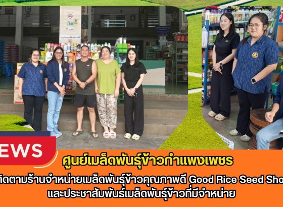 กำแพงเพชร-ศูนย์เมล็ดพันธุ์ข้าวกำแพงเพชร ติดตามร้านจำหน่ายเมล็ดพันธุ์ข้าวคุณภาพดี Good Rice Seed Shopและประชาสัมพันธ์เมล็ดพันธุ์ข้าวที่มีจำหน่าย