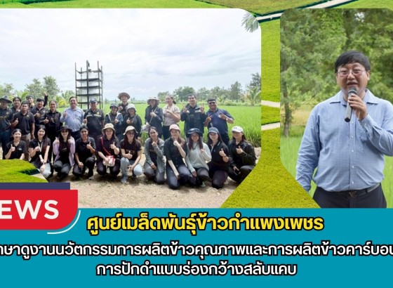 กำแพงเพชร-ศูนย์เมล็ดพันธุ์ข้าวกำแพงเพชร ศึกษาดูงานนวัตกรรมการผลิตข้าวคุณภาพและการผลิตข้าวคาร์บอนต่ำ การปักดำแบบร่องกว้างสลับแคบ