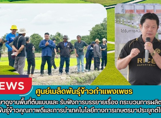 กำแพงเพชร-ศูนย์เมล็ดพันธุ์ข้าวกำแพงเพชร ศึกษาดูงานพื้นที่ต้นแบบและ รับฟังการบรรยายเรื่อง กระบวนการผลิตเมล็ดพันธุ์ข้าวคุณภาพดีและการนำเทคโนโลยีทางการเกษตรมาประยุกต์ใช้