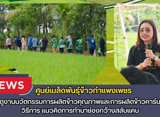กำแพงเพชร-ศูนย์เมล็ดพันธุ์ข้าวกำแพงเพชร ศึกษาดูงานนวัตกรรมการผลิตข้าวคุณภาพและการผลิตข้าวคาร์บอนต่ำ วิธีการ แนวคิดการทำนาช่องกว้างสลับแคบ