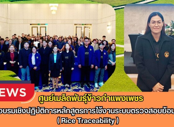 กำแพงเพชร-ศูนย์เมล็ดพันธุ์ข้าวกำแพงเพชร ร่วมอบรมเชิงปฏิบัติการหลักสูตรการใช้งานระบบตรวจสอบย้อนกลับ ( Rice Traceability )
