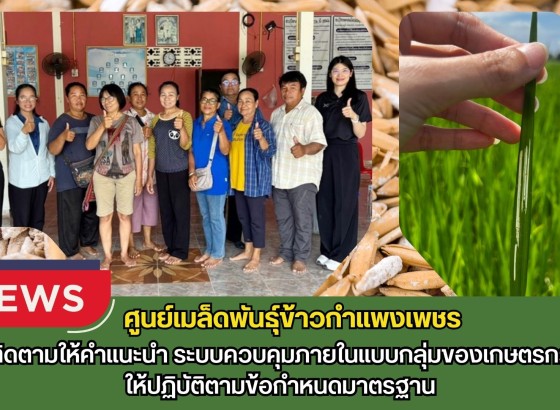 กำแพงเพชร-ศูนย์เมล็ดพันธุ์ข้าวกำแพงเพชร ติดตามให้คำแนะนำ ระบบควบคุมภายในแบบกลุ่มของเกษตรกรให้ปฏิบัติตามข้อกำหนดมาตรฐาน