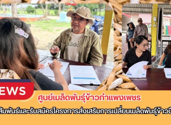 กำแพงเพชร-ศูนย์เมล็ดพันธุ์ข้าวกำแพงเพชร ประชาสัมพันธ์และรับสมัครโครงการส่งเสริมการเปลี่ยนเมล็ดพันธุ์ข้าวปี 2569