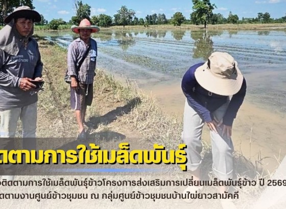 กำแพงเพชร-ศูนย์เมล็ดพันธุ์ข้าวกำแพงเพชร ตรวจติดตามการใช้เมล็ดพันธุ์ข้าวโครงการส่งเสริมการเปลี่ยนเมล็ดพันธุ์ข้าว ปี 2569 และติดตามงานศูนย์ข้าวชุมชน