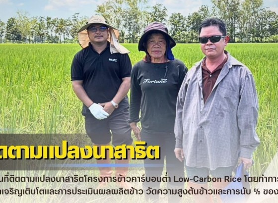 กำแพงเพชร-ศูนย์เมล็ดพันธุ์ข้าวกำแพงเพชร ลงพื้นที่ติดตามแปลงนาสาธิตโครงการข้าวคาร์บอนต่ำ “Low-Carbon Rice”