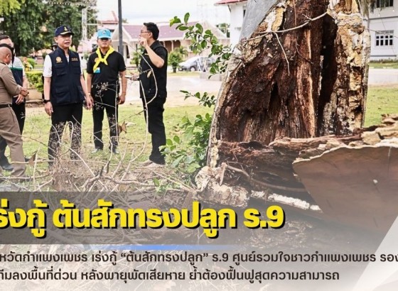 กำแพงเพชร-เร่งกู้ “ต้นสักทรงปลูก” ร.9 ศูนย์รวมใจชาวกำแพงเพชร รองผู้ว่าฯ นำทีมลงพื้นที่ด่วน หลังพายุพัดเสียหาย ย้ำต้องฟื้นฟูสุดความสามารถ