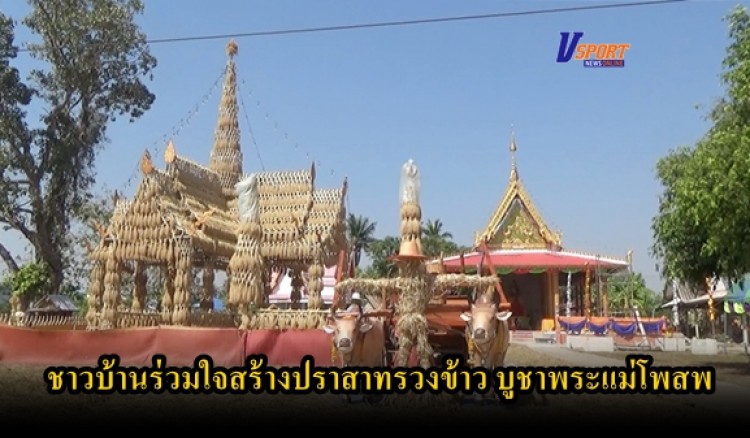 กำแพงเพชร-ชาวบ้านร่วมใจสร้างปราสาทรวงข้าว จัดงานสืบสานวัฒนธรรมประเพณีทำขวัญข้าว บูชาพระแม่โพสพ (มีคลิป) 