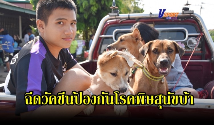 กำแพงเพชร-ทม.เมืองกำแพงเพชร ดำเนินการฉีดวัคซีนป้องกันโรคพิษสุนัขบ้า ตามโครงการสัตว์ปลอดโรค คนปลอดภัย จากโรคพิษสุนัขบ้า (มีคลิป) 