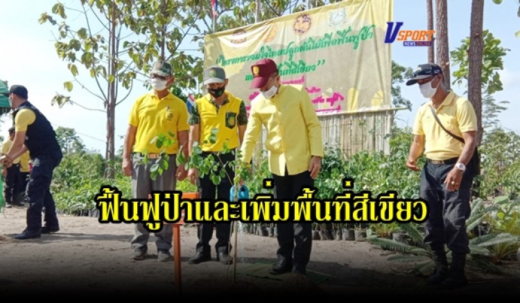 กำแพงเพชร-โครงการรวมใจไทยปลูกต้นไม้เพื่อฟื้นฟูป่าและเพิ่มพื้นที่สีเขียว ณ ป่าสงวนแห่งชาติ ป่าเขาเขียว ป่าเขาสว่าง และป่าคลองห้วยทราย อำเภอพรานกระต่าย จังหวัดกำแพงเพชร 