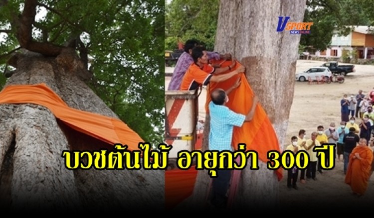 กำแพงเพชร-ชาวบ้านแห่ทำพิธี 