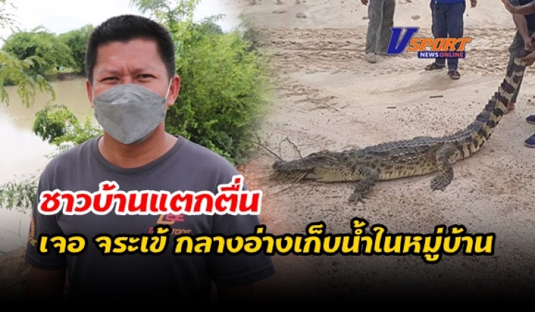 กำแพงเพชร-แตกตื่นชาวบ้านเจอ
