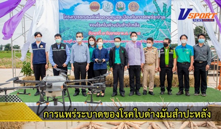 กำแพงเพชร-เกษตรกรผู้ปลูกมันสำประหลัง จัดงานโครงการรณรงค์เพื่อควบคุมและป้องกันการแพร่ระบาดของโรคใบด่างมันสำปะหลัง