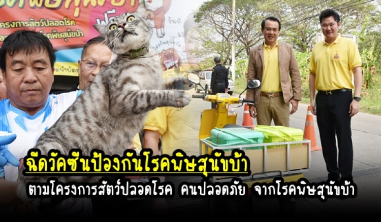 กำแพงเพชร-เทศบาลเมืองกำแพงเพชร ดำเนินการฉีดวัคซีนป้องกันโรคพิษสุนัขบ้า ตามโครงการสัตว์ปลอดโรค คนปลอดภัย จากโรคพิษสุนัขบ้า