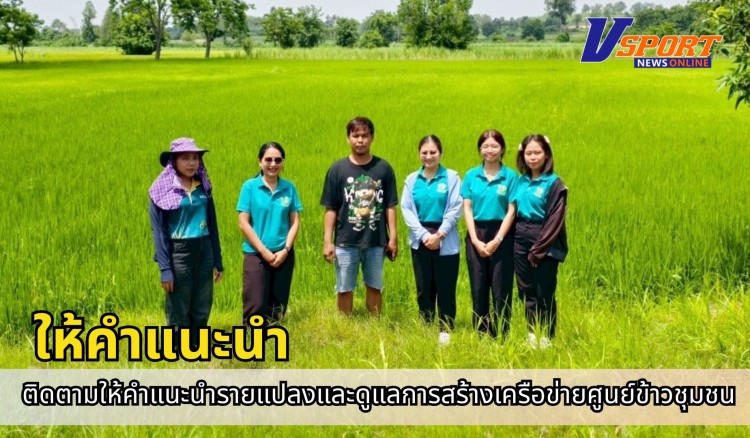 กำแพงเพชร-ศูนย์เมล็ดพันธุ์ข้าวกำแพงเพชร ติดตามให้คำแนะนำรายแปลงและดูแลการสร้างเครือข่ายศูนย์ข้าวชุมชนในจังหวัดกำแพงเพชร