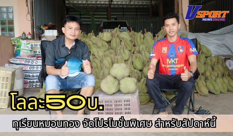 กำแพงเพชร-ทุเรียนหมอนทองขายกิโลกรัมละ 50 ถึง 89 บาท โปรโมชั่นพิเศษสำหรับสัปดาห์นี้ ณ สวนทุเรียนสุขนาบูรณ์กำแพงเพชร