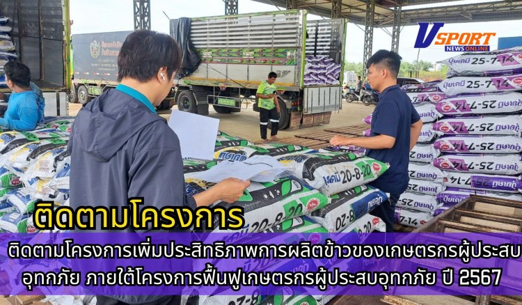 กำแพงเพชร-ศูนย์เมล็ดพันธุ์ข้าวกำแพงเพชร ติดตามโครงการเพิ่มประสิทธิภาพการผลิตข้าวของเกษตรกรผู้ประสบอุทกภัย ภายใต้โครงการฟื้นฟูเกษตรกรผู้ประสบอุทกภัย ปี 2567