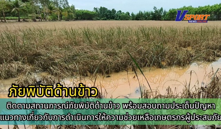กำแพงเพชร-ศูนย์เมล็ดพันธุ์ข้าวกำแพงเพชร ติดตามสถานการณ์ภัยพิบัติด้านข้าว พร้อมสอบถามประเด็นปัญหา แนวทางเกี่ยวกับการดำเนินการให้ความช่วยเหลือเกษตรกรผู้ประสบภัย