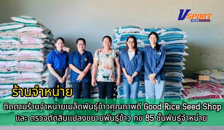 กำแพงเพชร-ศูนย์เมล็ดพันธุ์ข้าวกำแพงเพชร ติดตามร้านจำหน่ายเมล็ดพันธุ์ข้าวคุณภาพดี Good Rice Seed Shop และ ตรวจตัดสินแปลงขยายพันธุ์ข้าว กข 85 ชั้นพันธุ์จำหน่าย ฤดูฝน ปี2568 อย่างเป็นทางการ