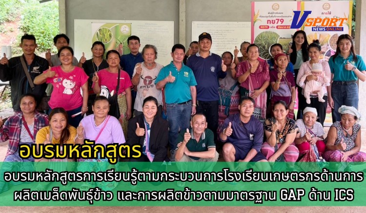 กำแพงเพชร-ศูนย์เมล็ดพันธุ์ข้าวกำแพงเพชร อบรมหลักสูตรการเรียนรู้ตามกระบวนการโรงเรียนเกษตรกรด้านการผลิตเมล็ดพันธุ์ข้าว และการผลิตข้าวตามมาตรฐาน GAP ด้าน ICS