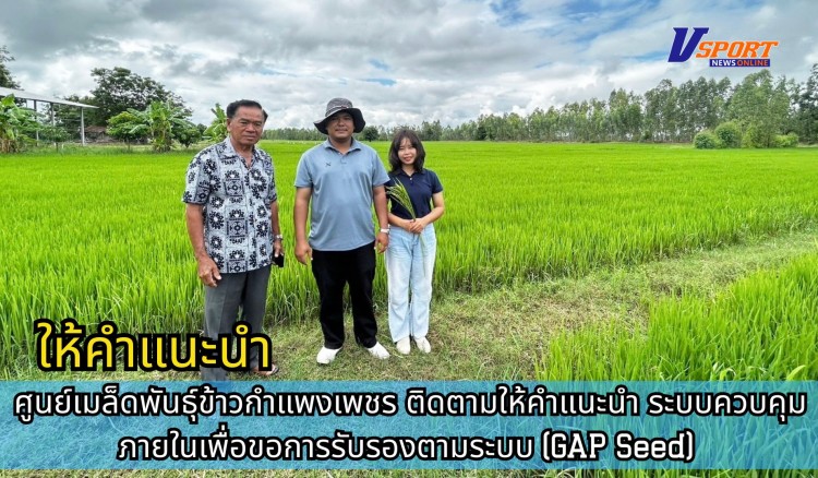 กำแพงเพชร-ศูนย์เมล็ดพันธุ์ข้าวกำแพงเพชร ติดตามให้คำแนะนำ ระบบควบคุมภายในเพื่อขอการรับรองตามระบบ (GAP Seed)