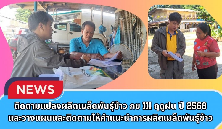 กำแพงเพชร-ศูนย์เมล็ดพันธุ์ข้าวกำแพงเพชร ติดตามแปลงผลิตเมล็ดพันธุ์ข้าว กข111 ฤดูฝน ปี 2568 และวางแผนและติดตามให้คำแนะนำการผลิตเมล็ดพันธุ์ข้าว