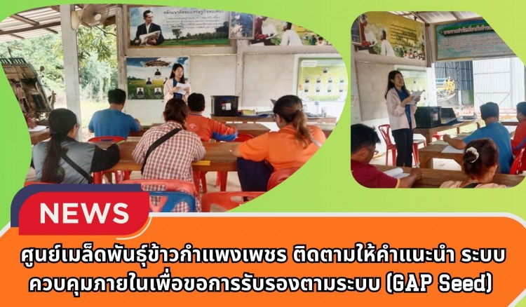 กำแพงเพชร-ศูนย์เมล็ดพันธุ์ข้าวกำแพงเพชร ติดตามให้คำแนะนำ ระบบควบคุมภายในเพื่อขอการรับรองตามระบบ (GAP Seed) ภายใต้โครงการยกระดับคุณภาพมาตรฐานสินค้า ปี 2569