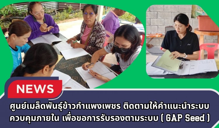 กำแพงเพชร-ศูนย์เมล็ดพันธุ์ข้าวกำแพงเพชร ติดตามให้คำแนะนำ ระบบควบคุมภายใน เพื่อขอการรับรองตามระบบ (GAP Seed)