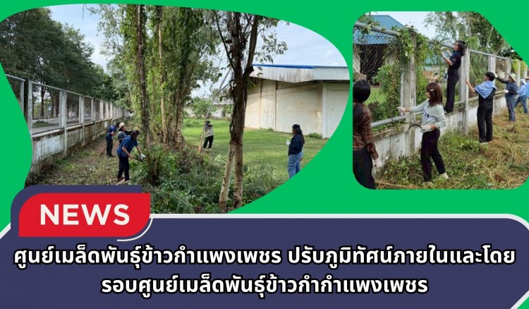 กำแพงเพชร-ศูนย์เมล็ดพันธุ์ข้าวกำแพงเพชร ร่วมแรงร่วมใจทำความสะอาด ปรับภูมิทัศน์ภายในและโดยรอบศูนย์เมล็ดพันธุ์ข้าวกำกำแพงเพชร