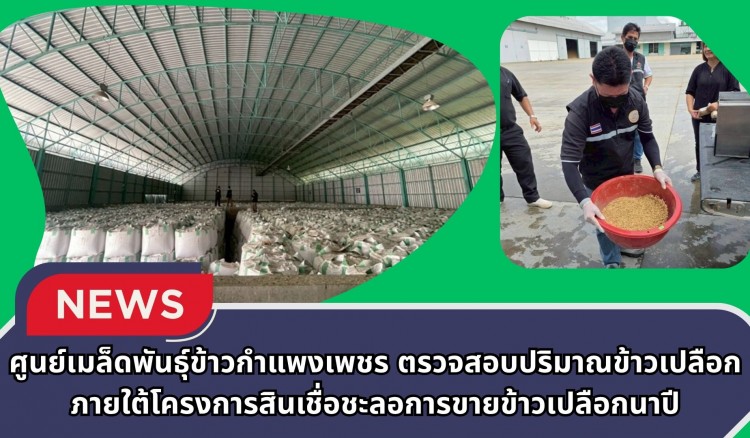 กำแพงเพชร-ศูนย์เมล็ดพันธุ์ข้าวกำแพงเพชร ตรวจสอบปริมาณข้าวเปลือกภายใต้โครงการสินเชื่อชะลอการขายข้าวเปลือกนาปี