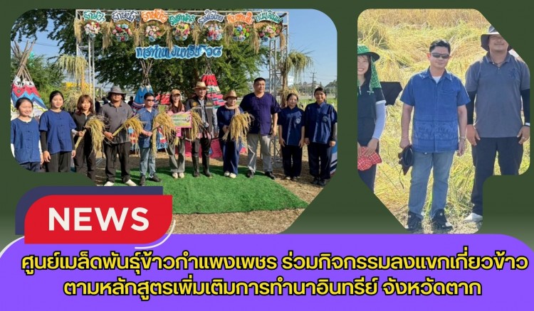 กำแพงเพชร-ศูนย์เมล็ดพันธุ์ข้าวกำแพงเพชร ร่วมกิจกรรมลงแขกเกี่ยวข้าวตามหลักสูตรเพิ่มเติมการทำนาอินทรีย์โรงเรียนเทศบาลวัดดอนแก้ว