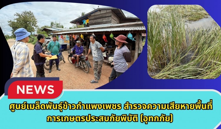 กำแพงเพชร-ศูนย์เมล็ดพันธุ์ข้าวกำแพงเพชร สำรวจความเสียหายพื้นที่การเกษตรประสบภัยพิบัติ(อุทกภัย)