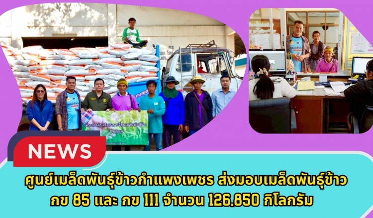 กำแพงเพชร-ศูนย์เมล็ดพันธุ์ข้าวกำแพงเพชร ส่งมอบเมล็ดพันธุ์ข้าว กข85 และ กข111 จำนวน 126,850 กิโลกรัม ภายใต้โครงการส่งเสริมการเปลี่ยนเมล็ดพันธุ์ข้าว ปี 2569