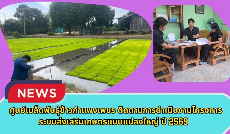 กำแพงเพชร-ศูนย์เมล็ดพันธุ์ข้าวกำแพงเพชร ติดตามการดำเนินงานโครงการระบบส่งเสริมเกษตรแบบแปลงใหญ่ ปี 2569