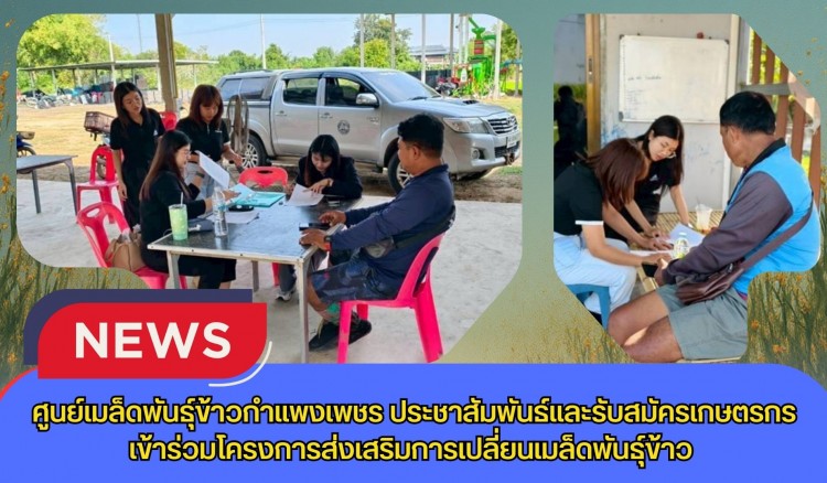 กำแพงเพชร-ศูนย์เมล็ดพันธุ์ข้าวกำแพงเพชร ประชาสัมพันธ์และรับสมัครเกษตรกร เข้าร่วมโครงการส่งเสริมการเปลี่ยนเมล็ดพันธุ์ข้าว