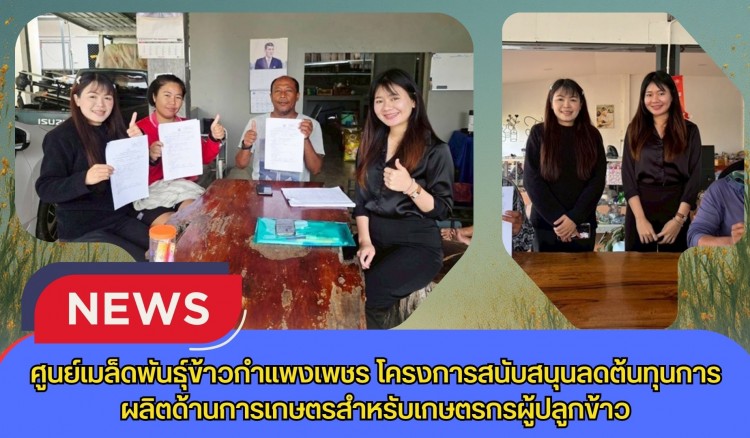 กำแพงเพชร-ศูนย์เมล็ดพันธุ์ข้าวกำแพงเพชร โครงการสนับสนุนลดต้นทุนการผลิตด้านการเกษตรสำหรับเกษตรกรผู้ปลูกข้าว