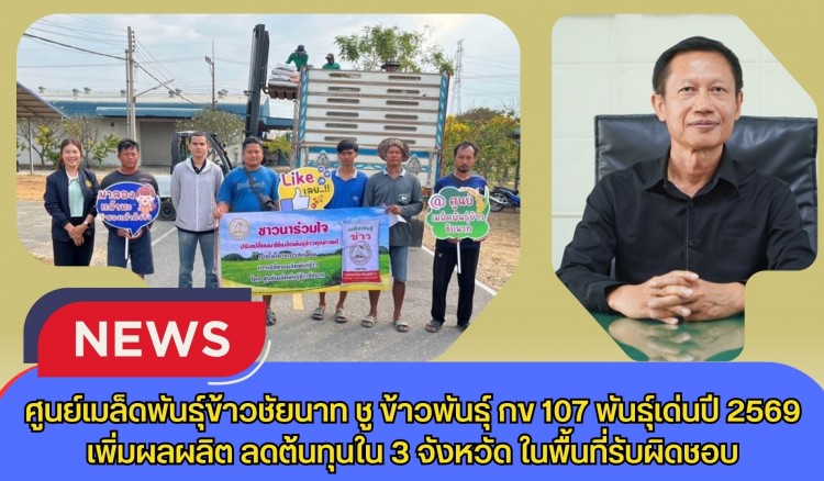 ศูนย์เมล็ดพันธุ์ข้าวชัยนาท ชูพันธุ์ข้าว กข 107 พันธุ์เด่นปี 2569 เพิ่มผลผลิต ลดต้นทุนใน 3 จังหวัด ในพื้นที่รับผิดชอบ