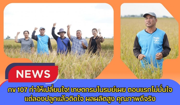 กข107 ทำให้เปลี่ยนใจ เกษตรกรมโนรมย์เผย ตอนแรกไม่มั่นใจ แต่ลองปลูกแล้วติดใจ ผลผลิตสูง คุณภาพดีจริง