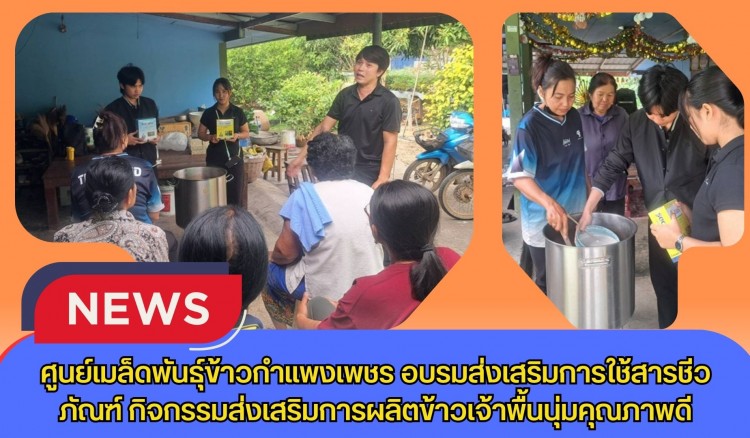 กำแพงเพชร-ศูนย์เมล็ดพันธุ์ข้าวกำแพงเพชร อบรมส่งเสริมการใช้สารชีวภัณฑ์ กิจกรรมส่งเสริมการผลิตข้าวเจ้าพื้นนุ่มคุณภาพดี