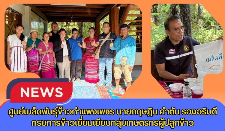 กำแพงเพชร-ศูนย์เมล็ดพันธุ์ข้าวกำแพงเพชร นายกฤษฎิน คำตัน รองอธิบดีกรมการข้าวเยี่ยมเยียนกลุ่มเกษตรกรผู้ปลูกข้าว