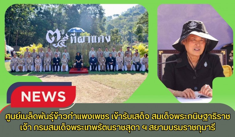 กำแพงเพชร-ศูนย์เมล็ดพันธุ์ข้าวกำแพงเพชร เข้ารับเสด็จ สมเด็จพระกนิษฐาธิราชเจ้า กรมสมเด็จพระเทพรัตนราชสุดา ฯ สยามบรมราชกุมารี
