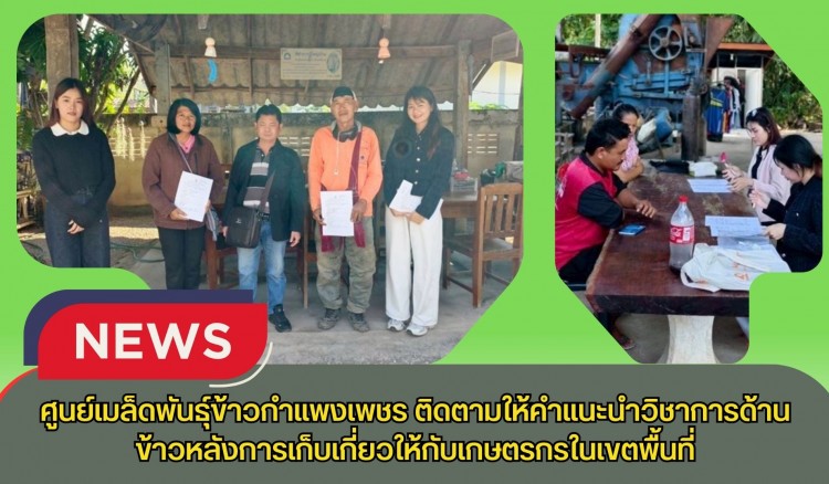 กำแพงเพชร-ศูนย์เมล็ดพันธุ์ข้าวกำแพงเพชร ติดตามให้คำแนะนำวิชาการด้านข้าวหลังการเก็บเกี่ยวให้กับเกษตรกรในเขตพื้นที่