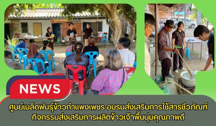 กำแพงเพชร-ศูนย์เมล็ดพันธุ์ข้าวกำแพงเพชร อบรมส่งเสริมการใช้สารชีวภัณฑ์ กิจกรรมส่งเสริมการผลิตข้าวเจ้าพื้นนุ่มคุณภาพดี