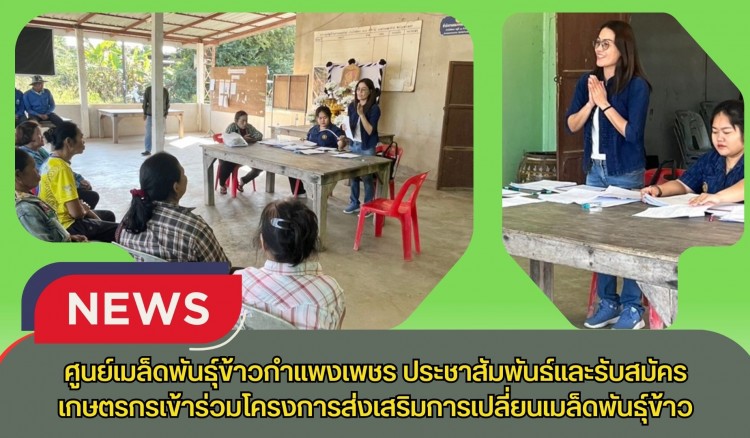 กำแพงเพชร-ศูนย์เมล็ดพันธุ์ข้าวกำแพงเพชร ประชาสัมพันธ์และรับสมัครเกษตรกรเข้าร่วมโครงการส่งเสริมการเปลี่ยนเมล็ดพันธุ์ข้าว